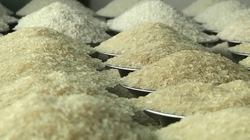 চালের দাম আরো বাড়বে বলে জানিয়েছেন খাদ্য উপদেষ্টা